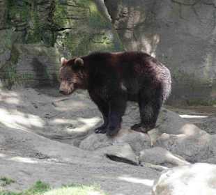 Tierpark Hagenbeck