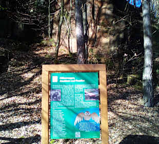 Wanderweg Sagenhafter Waldpfad Landstuhl
