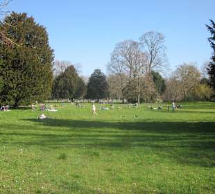 Der Botanische Garten im März 14