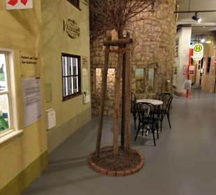 Stadtökologie im Museum am Schölerberg