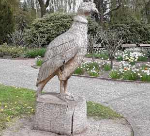 Weltvogelpark Walsrode