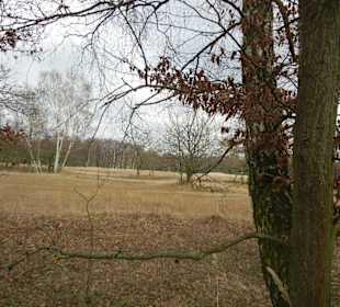 Naturschutzgebiet Boberger Niederung