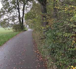 Naturschutzgebiet Listhof