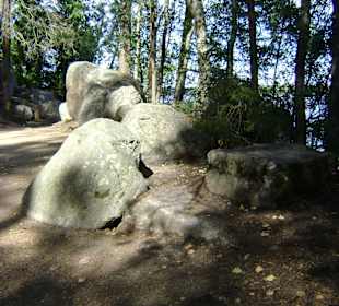 Park Monrepos