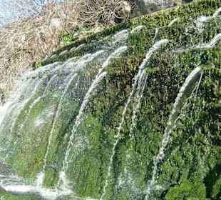 Fuente de los 101 Caños!