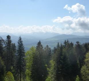 Ausblick vom Pfänder