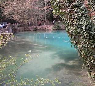 Schöne hellblau Färbung vom Blautopf