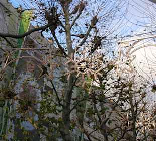 Decorazioni natalizie