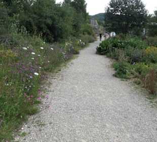 ALB-GOLD Naturgarten