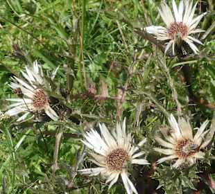 Schöne Wanderungen bei Oberstdorf