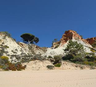 Strand Olhos de Água