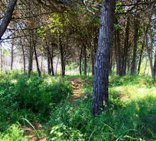 FKK-Weg-Bereiche