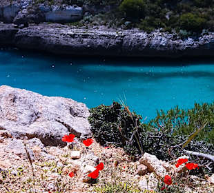 Umgebung Cala Antena