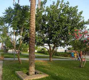 Strandpromenade Evrenseki