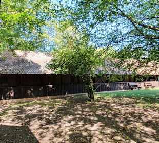 Sportbereich vor der Burg