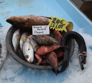 Fischmarkt im Hafen
