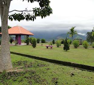 Wildlife Expeditions