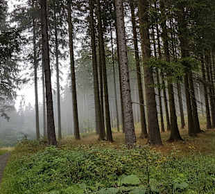 Wandern Schmallenberg