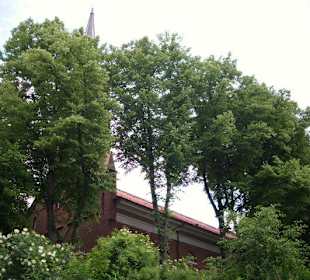 Kirche hinter alten Bäumen