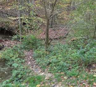 Wandertour "Rund um den Rossberg" Öschingen