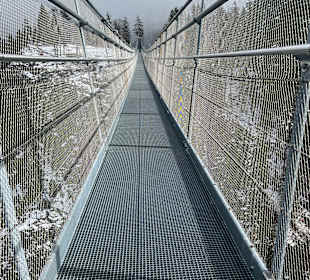 Fußgängerbrücke highline179