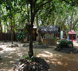 Elefantenreiten Sigiriya