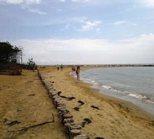 Strand Bibione 06_2011