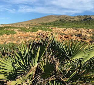 Wandern Cala Mesquida