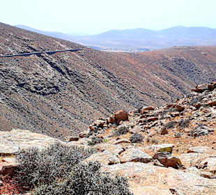 Inselrundfahrt Tagestour