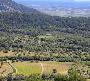 Wandern Pollença / Pollensa