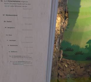 Museum Natur und Mensch