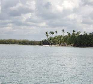 Saona Strand