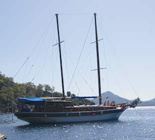 M/S Mim Saka