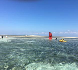 Ausflug zu den Korallenriff und zur Sandbank 