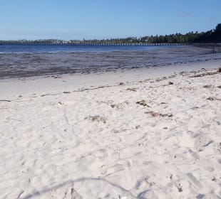 Pongwe Strand
