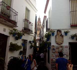 Calleja de las Flores