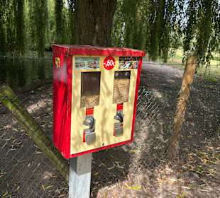 Irrland Bauernhof-Erlebnisoase