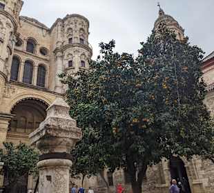Kathedrale von Málaga