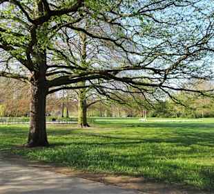 Impressionen vom Spaziergang durch den Kurpark