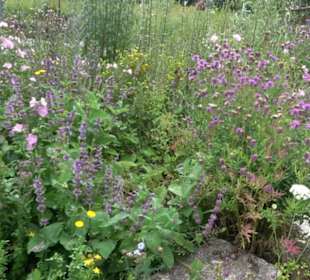 ALB-GOLD Naturgarten