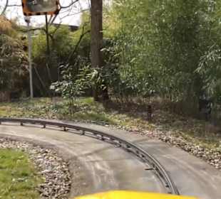 Land der Abenteuer - Safari Tour