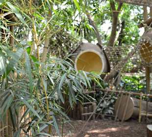 Jungle Dome