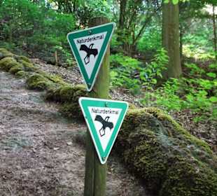 An der Steinernen Rinne Roschlaub