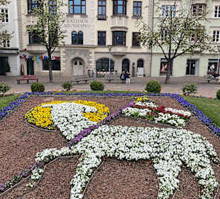 Sport & Freizeit