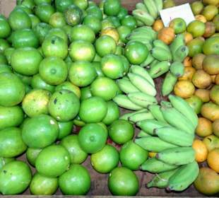 Rundgang über den Marché forain du Front de Mer
