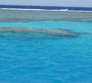 Satayi Dolphin House