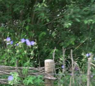 ALB-GOLD Naturgarten