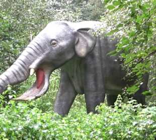 Dinosaurier Museum Altmühltal