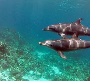 Sonnenuntergangstour