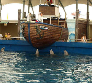 Miami Seaquarium